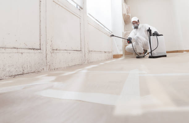 24/7 Emergency Mold Testing experts in Lexington, TN